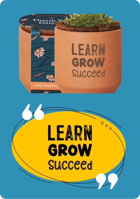 Thank You Daisies Modern Sprout® Tiny Terracotta Grow Kit