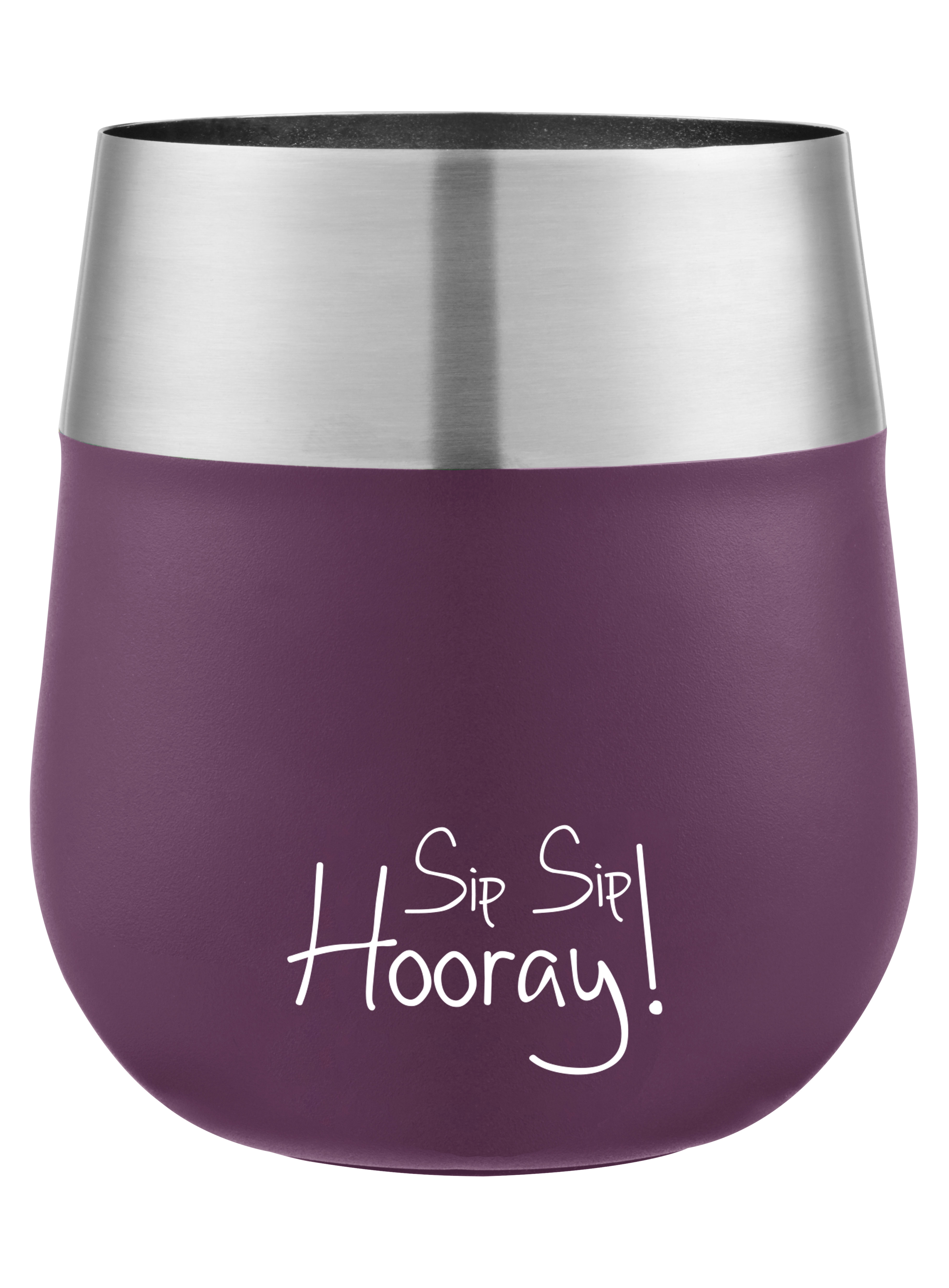coleman stainless steel wine glass with fun quote
