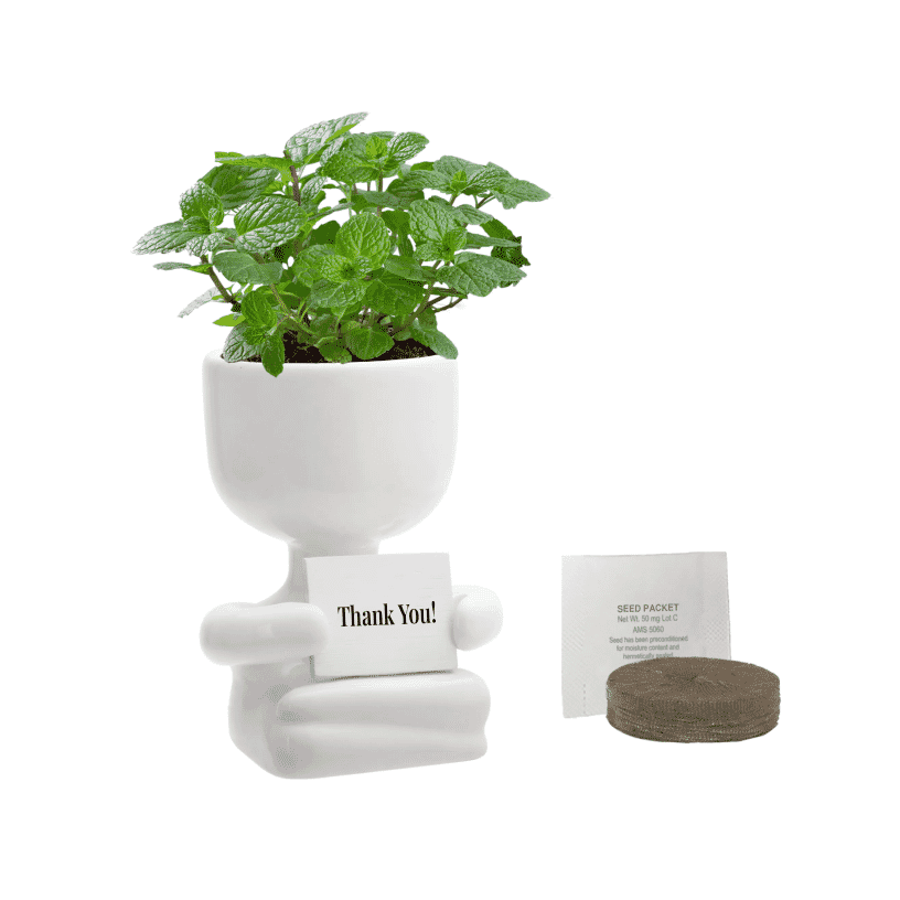 People Planter Kit