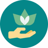 Environmentally Friendly Ordering