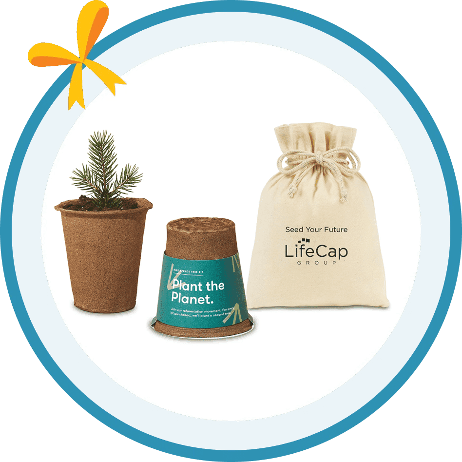 Modern Sprout One-for-One Tree Kit 
