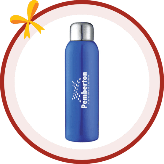 28 oz Sleek Stainless Water Bottle
