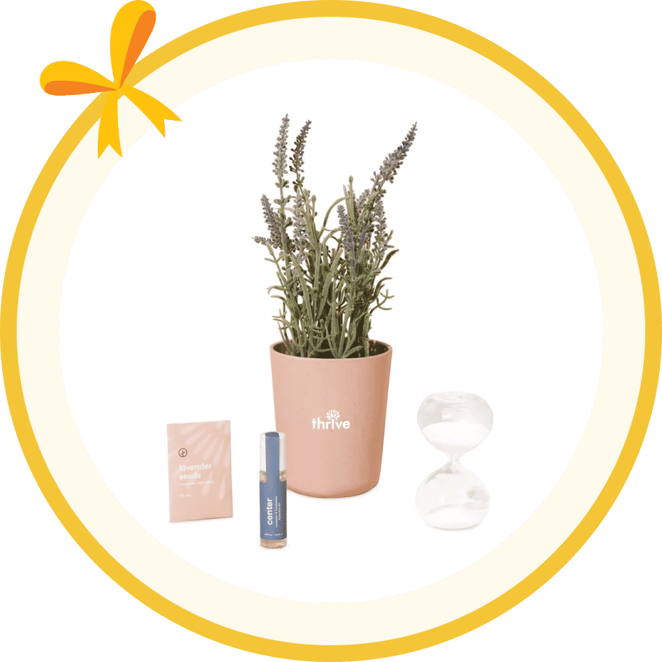Modern Sprout® Seek Peace Take Care Kit - Lavender