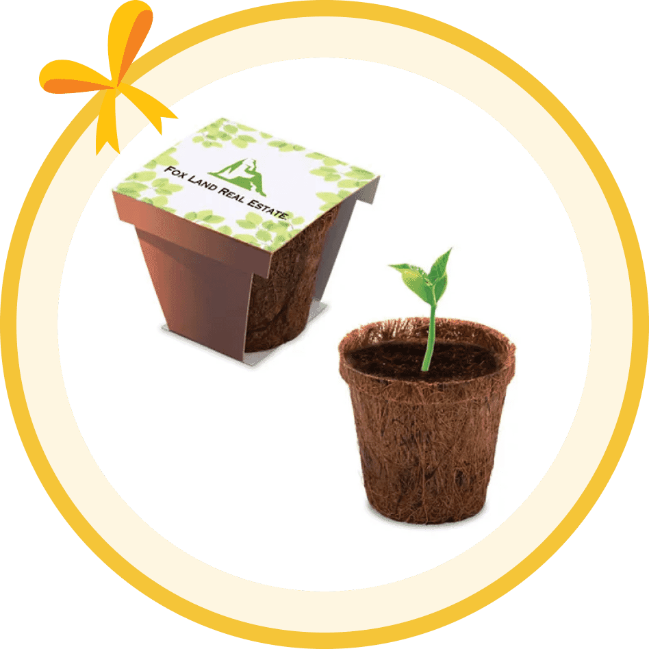 Plant Starter Kit