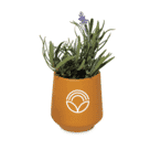 Inexpensive Employee Appreciation Gifts - Bulk Order