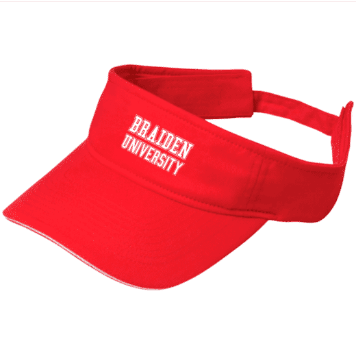 Sandwich Visor