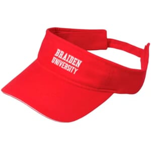Sandwich Visor