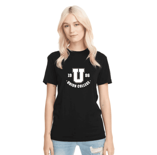 Unisex Next Level Apparel Triblend T-Shirt