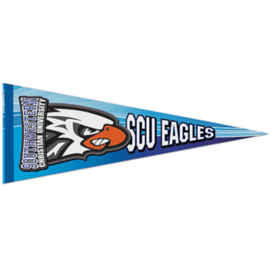 Premium Felt Pennant