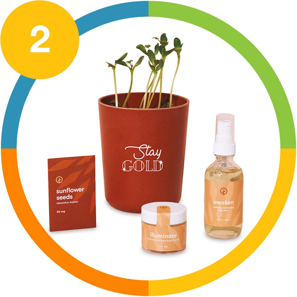 plant and essential oil set