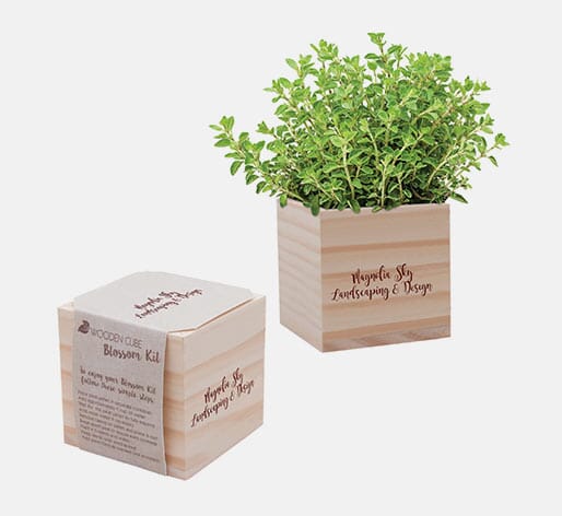 Wooden Planter Block Gift Set