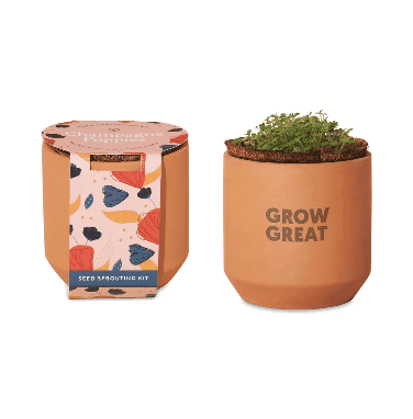 Modern Sprout® Tiny Terracotta Grow Kit