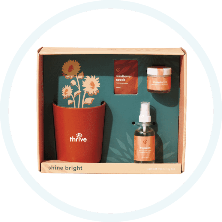 27. Modern Sprout® Shine Bright Take Care Sunflower Kit