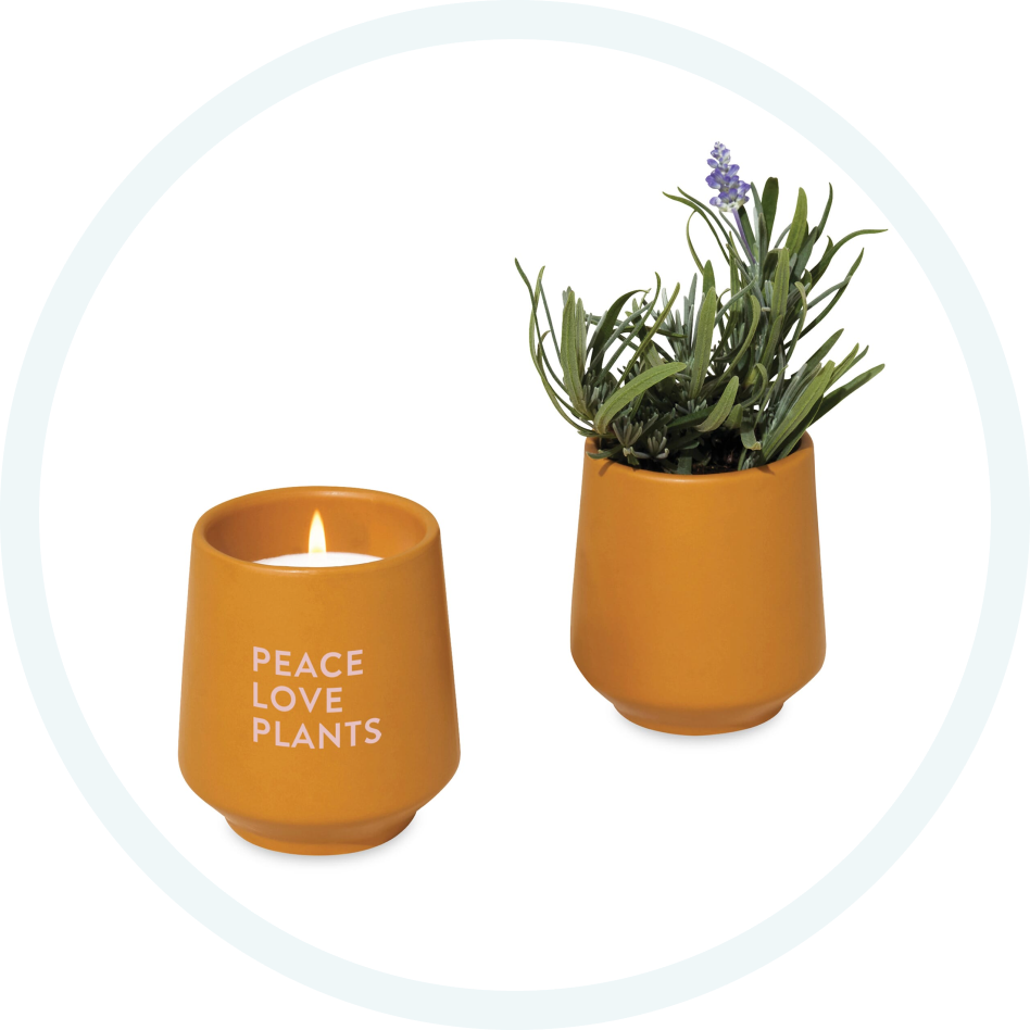 34. Modern Sprout® Rooted Candle