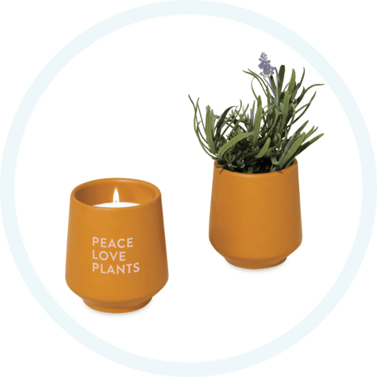 34. Modern Sprout® Rooted Candle