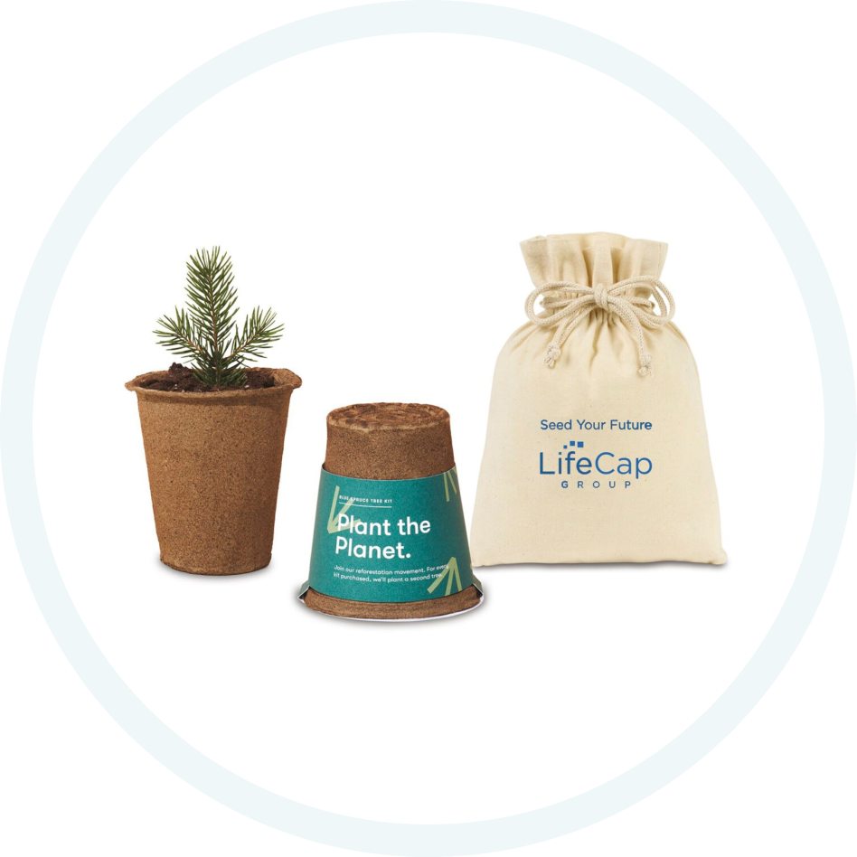 8. Modern Sprout One For One Tree Kits