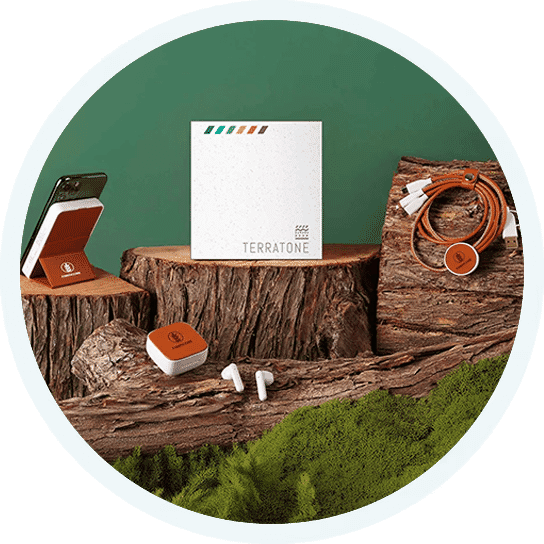 3. TerraTone Rythm & Recharge Kit