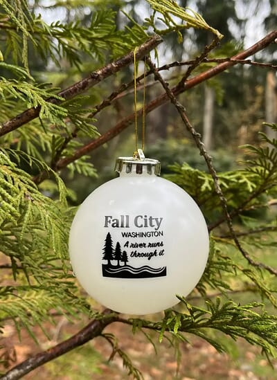 customer's image of the blue ornament