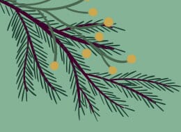 decorated pine branch