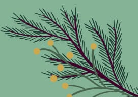 decorated pine branch