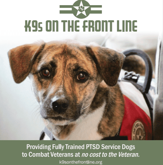 PTSD Service Dogs for Combat Veterans