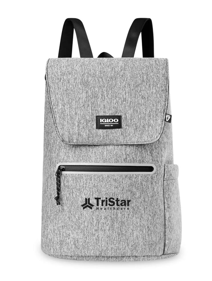 igloo avalance lunch cooler bag