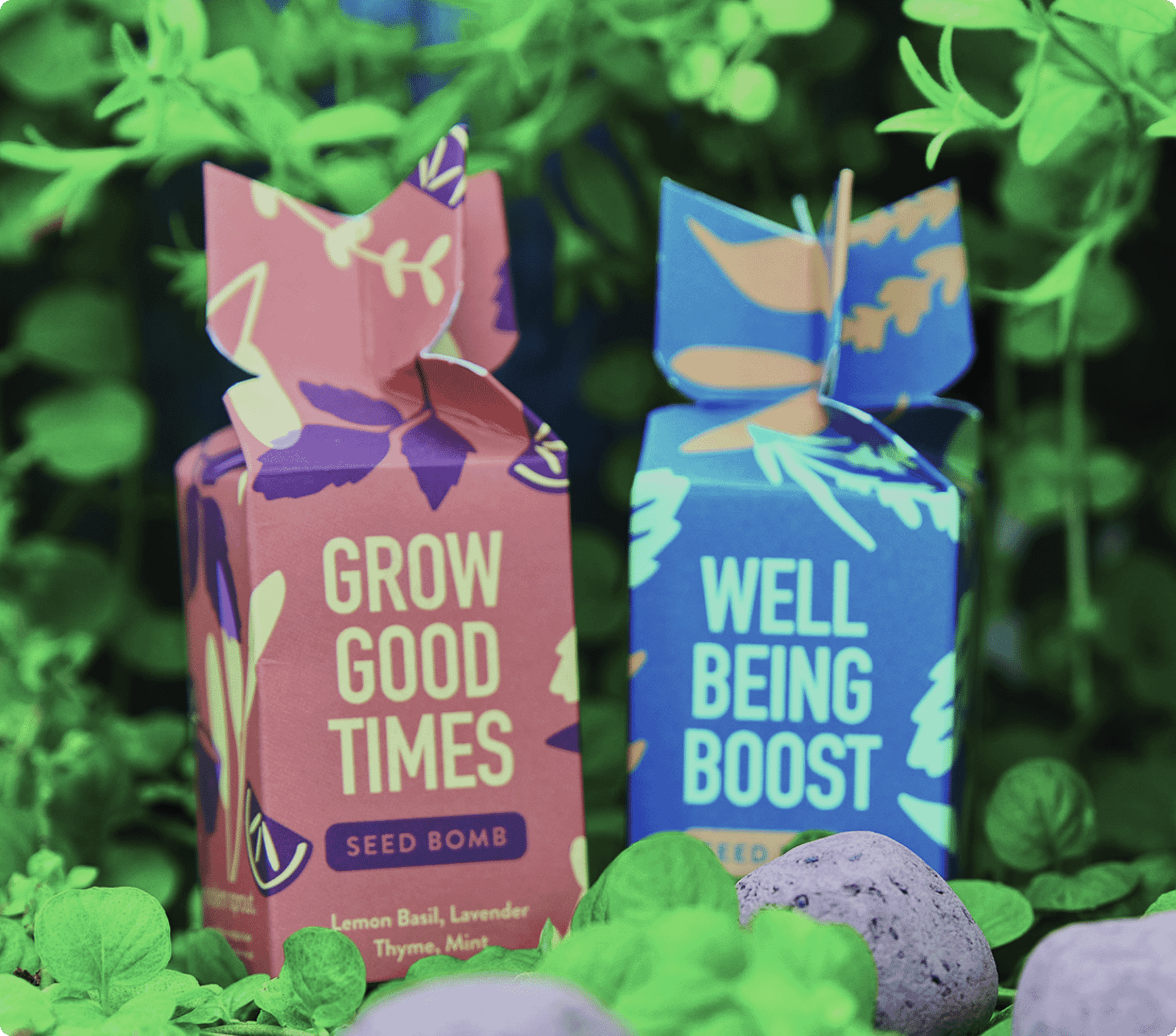 MODERN SPROUT® ENCOURAGEMENT SEED BOMBS