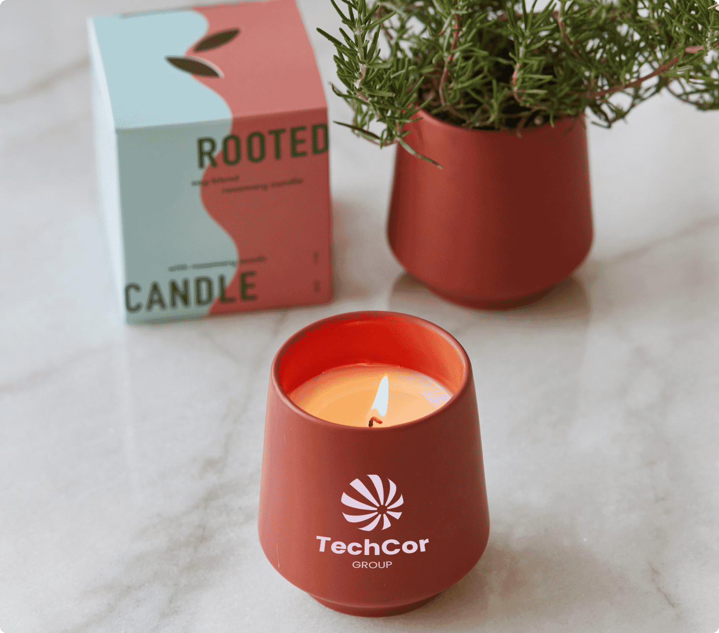 MODERN SPROUT® ROOTED CANDLE