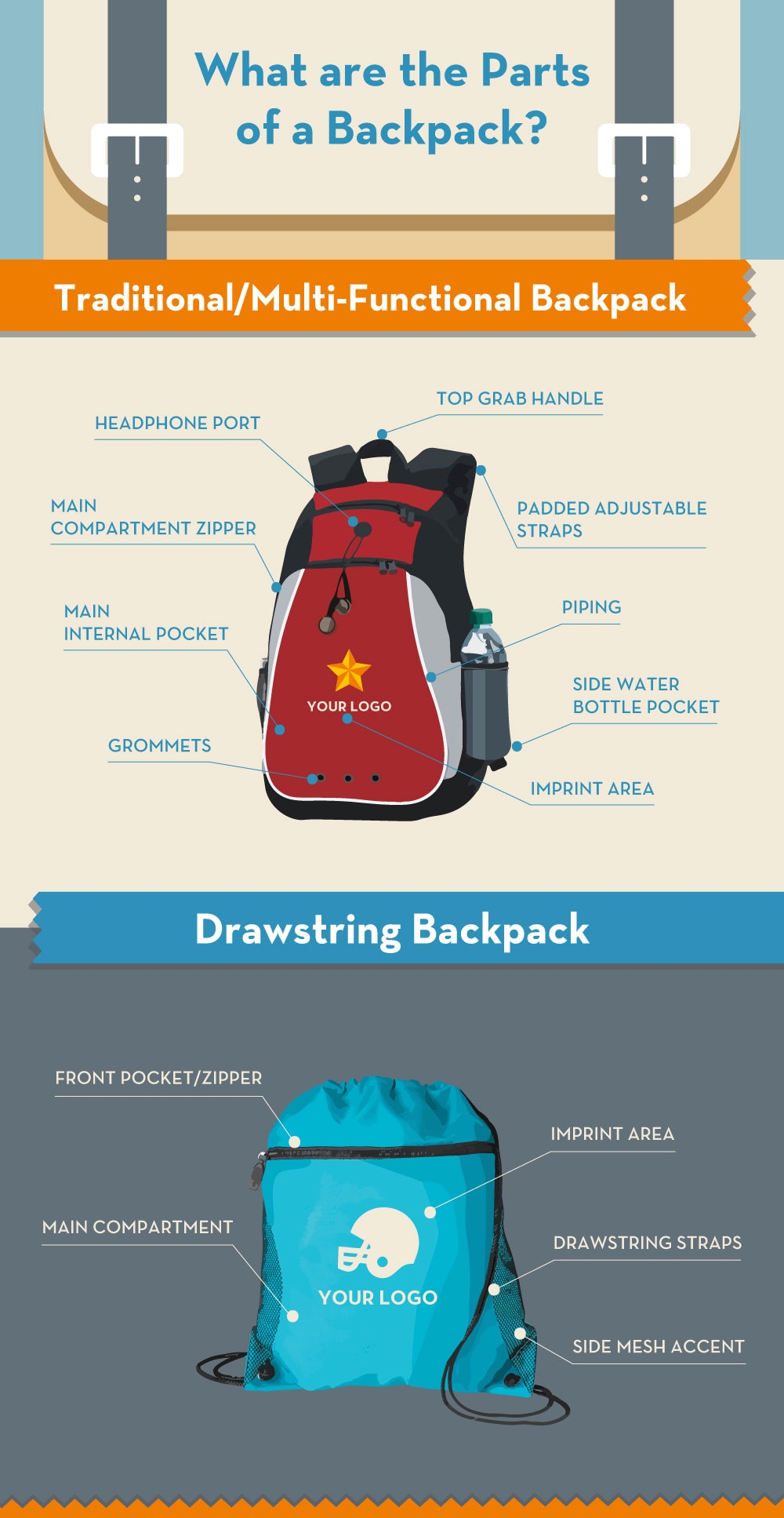 Bag Anatomy Infographic