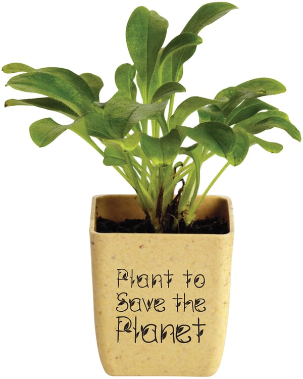 potted plant set