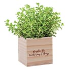 Custom Promotional Plants & Corporate Gift Plants for Employees
