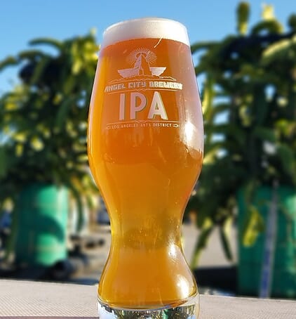 Angel City Brewery IPA glass full of beer sitting on a wooden tabletop