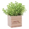 customized wooden block with plant