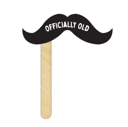 Mustache On A Stick
