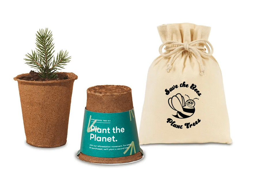 modern sprout tree planting kit