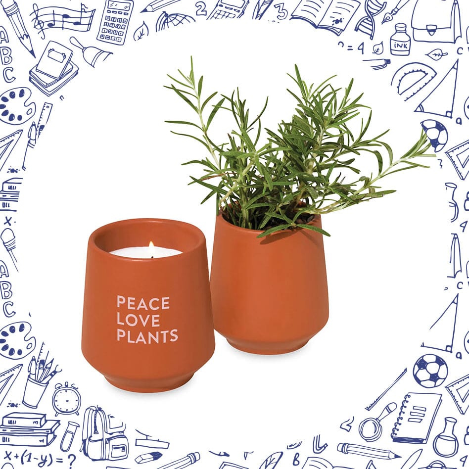 modern sprout plant and candle gift set