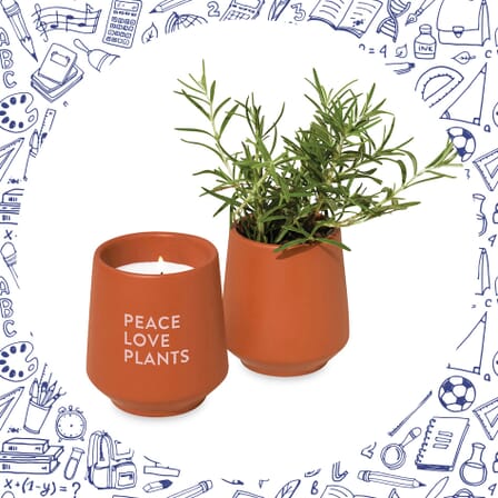 modern sprout plant and candle gift set