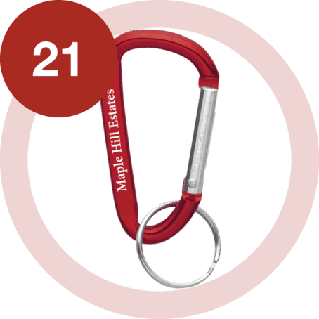 Carabiner Key Ring