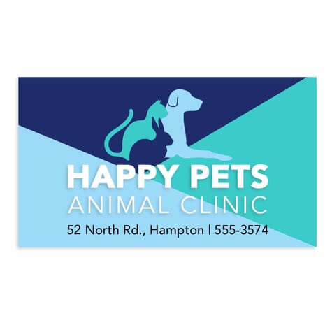 Full Color Business Card Magnet