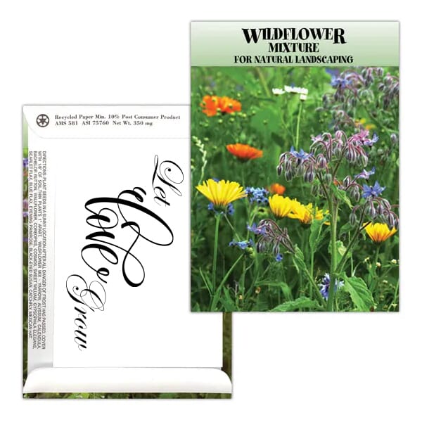 Standard Series Seed Packet- Wildflower Mix