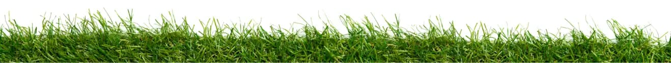 grass border
