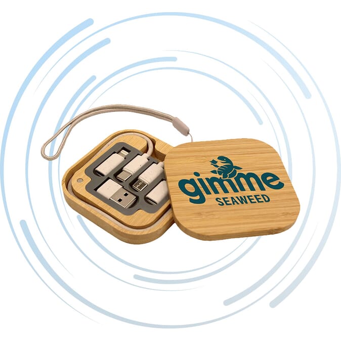 iPort Charging Cable Set with Bamboo Case