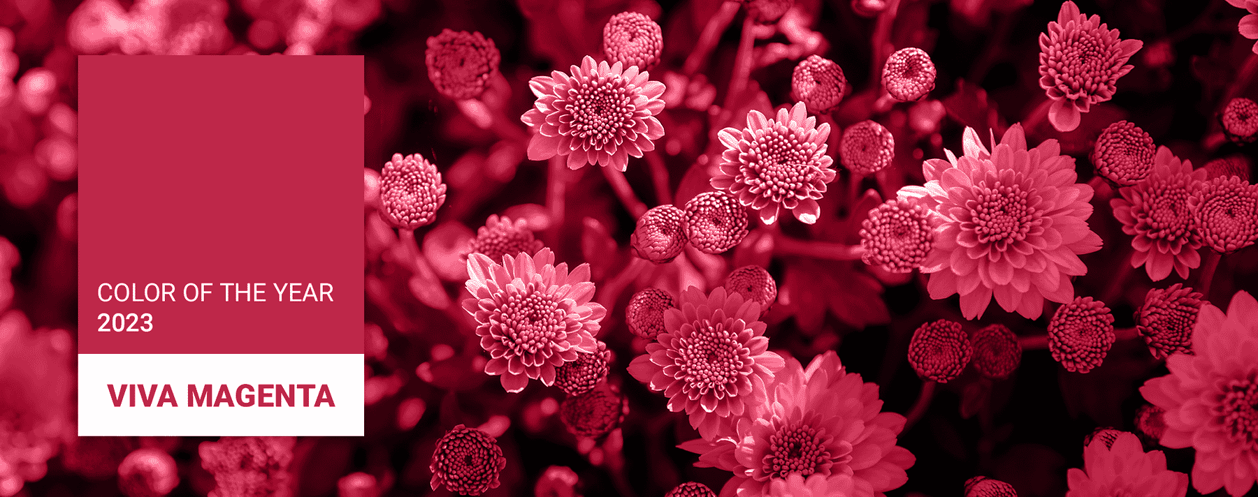 Promotional Products in Pantone Color of the Year 2023