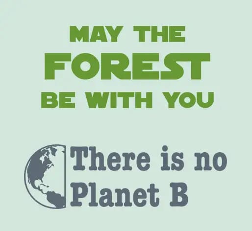 Eco friendly sayings for sustainable gifts