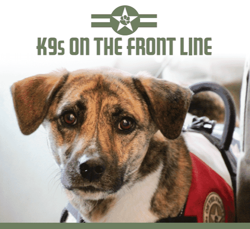 K9s On the Front Line