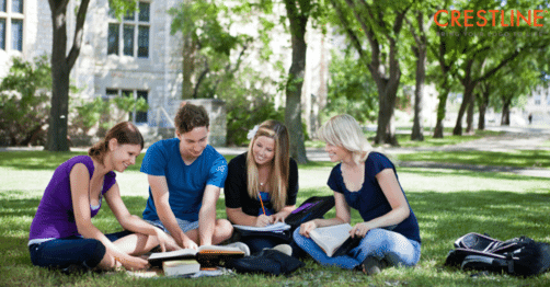 Students studying at college quad