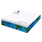 Post-it&#174; Notes Cube- 100 Sheets