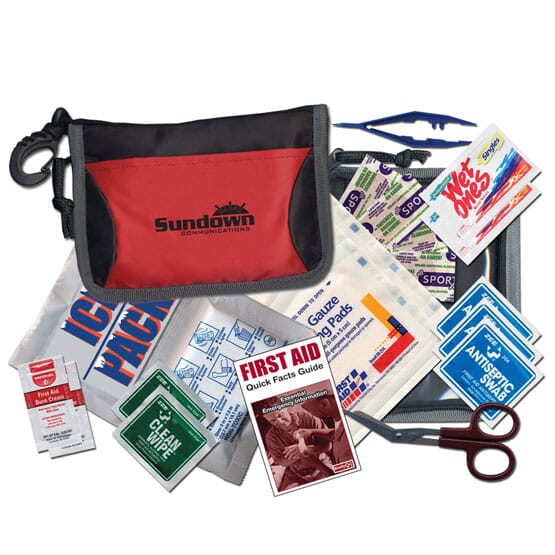 20 Piece First Aid Kit