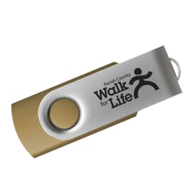 Swivel Flash 4GB - 24hr Service