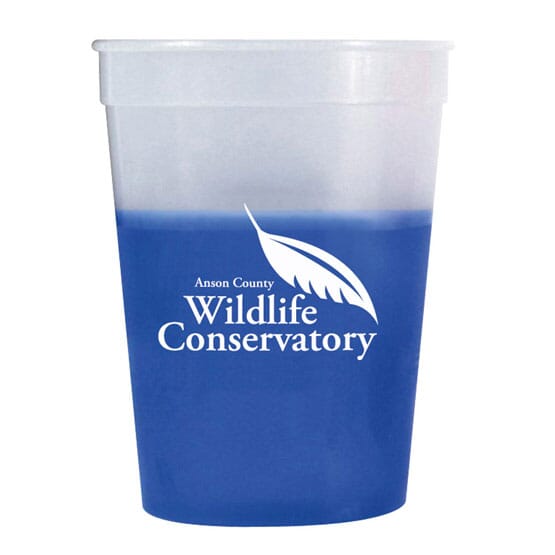 3. Chameleon Stadium Cup